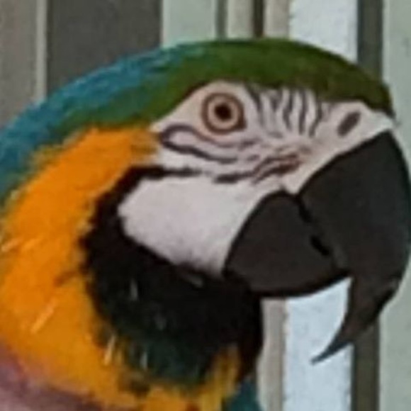 Meet your Posher, Molly - Picture 1 of 1